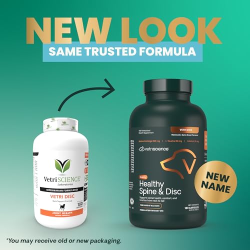 VetriScience Healthy Spine & Disc capsules close-up for easy dosing.