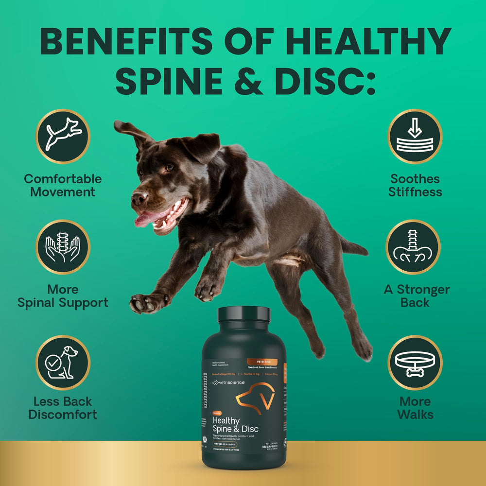 VetriScience Healthy Spine & Disc ingredient close-up highlighting chondroitin source.