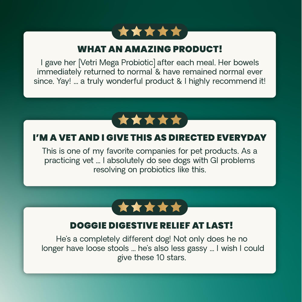 VetriScience immune support potential alongside digestive benefits in visuals.