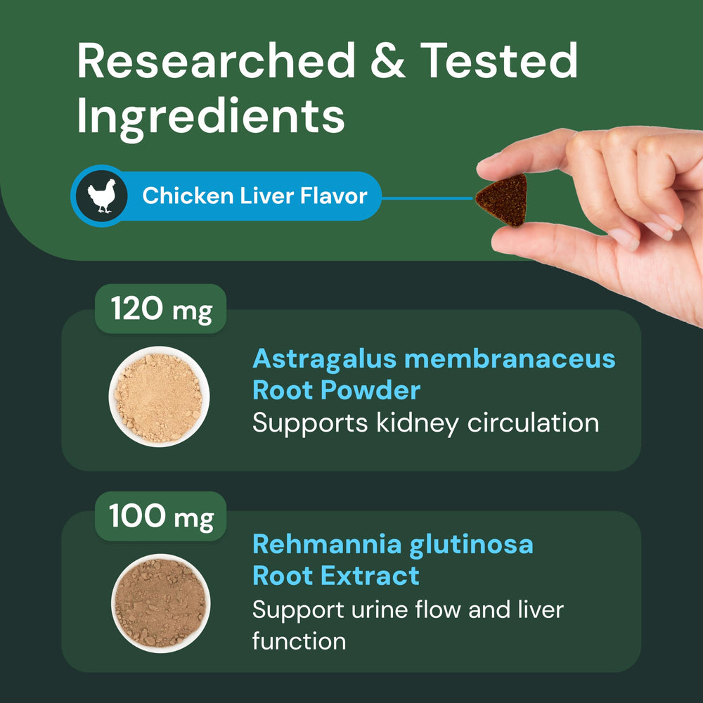 VetriScience Kidney Health Chews chicken liver flavor close-up highlighting palatable taste