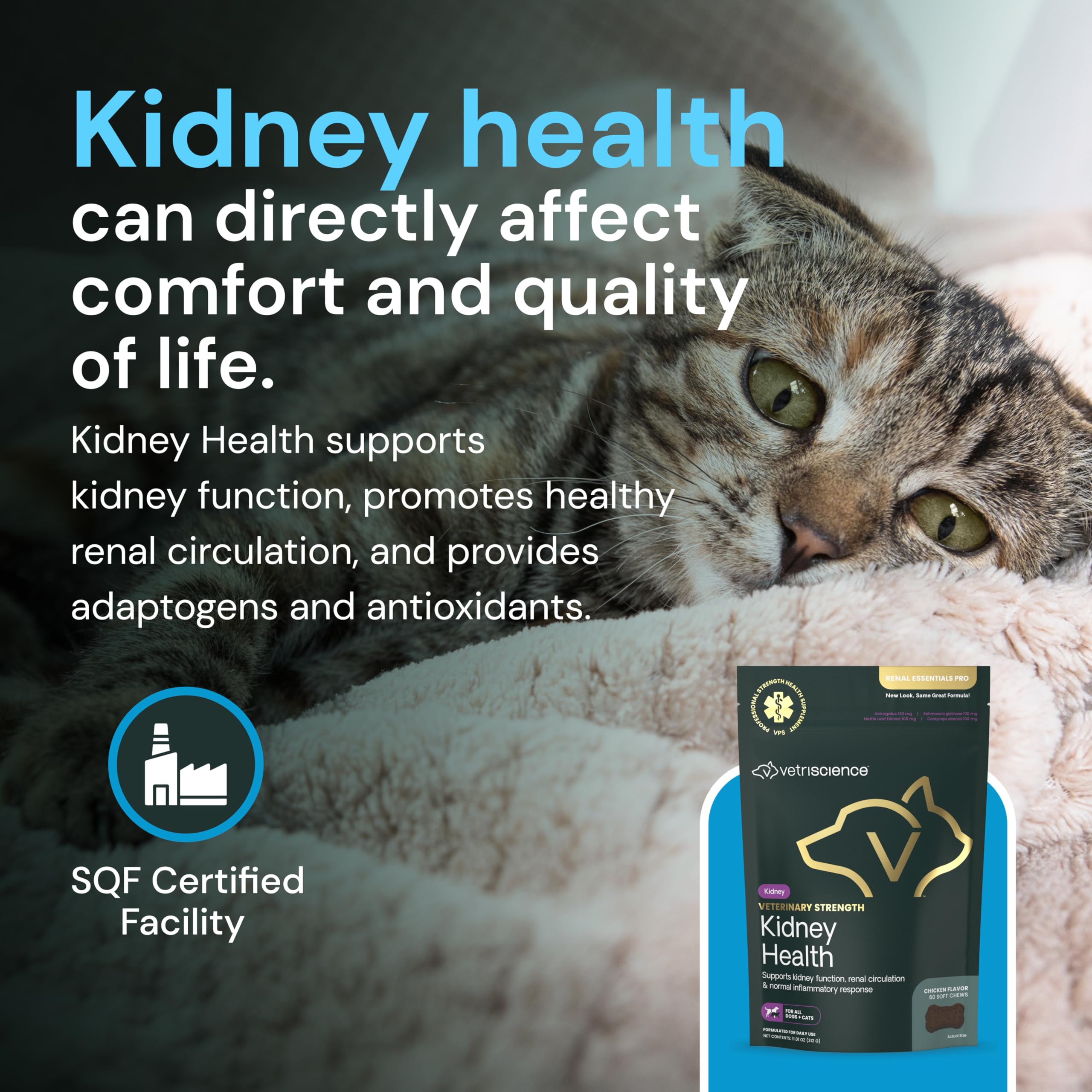VetriScience Kidney Health Chews dog product packet for kidney support