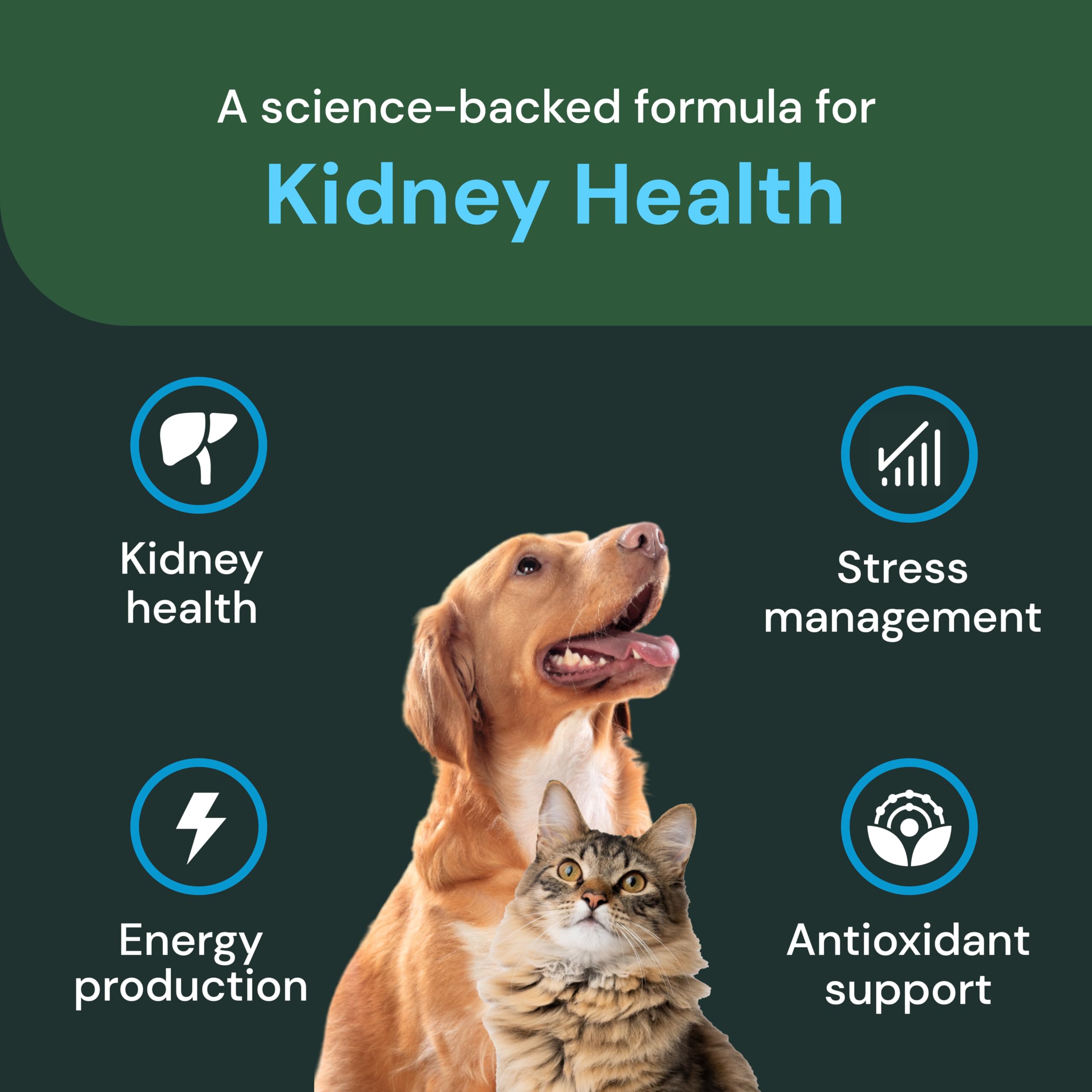 VetriScience Kidney Health Chews pouch packaging emphasizing convenient daily pet supplement