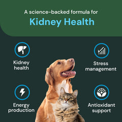 VetriScience Kidney Health Chews pouch packaging emphasizing convenient daily pet supplement