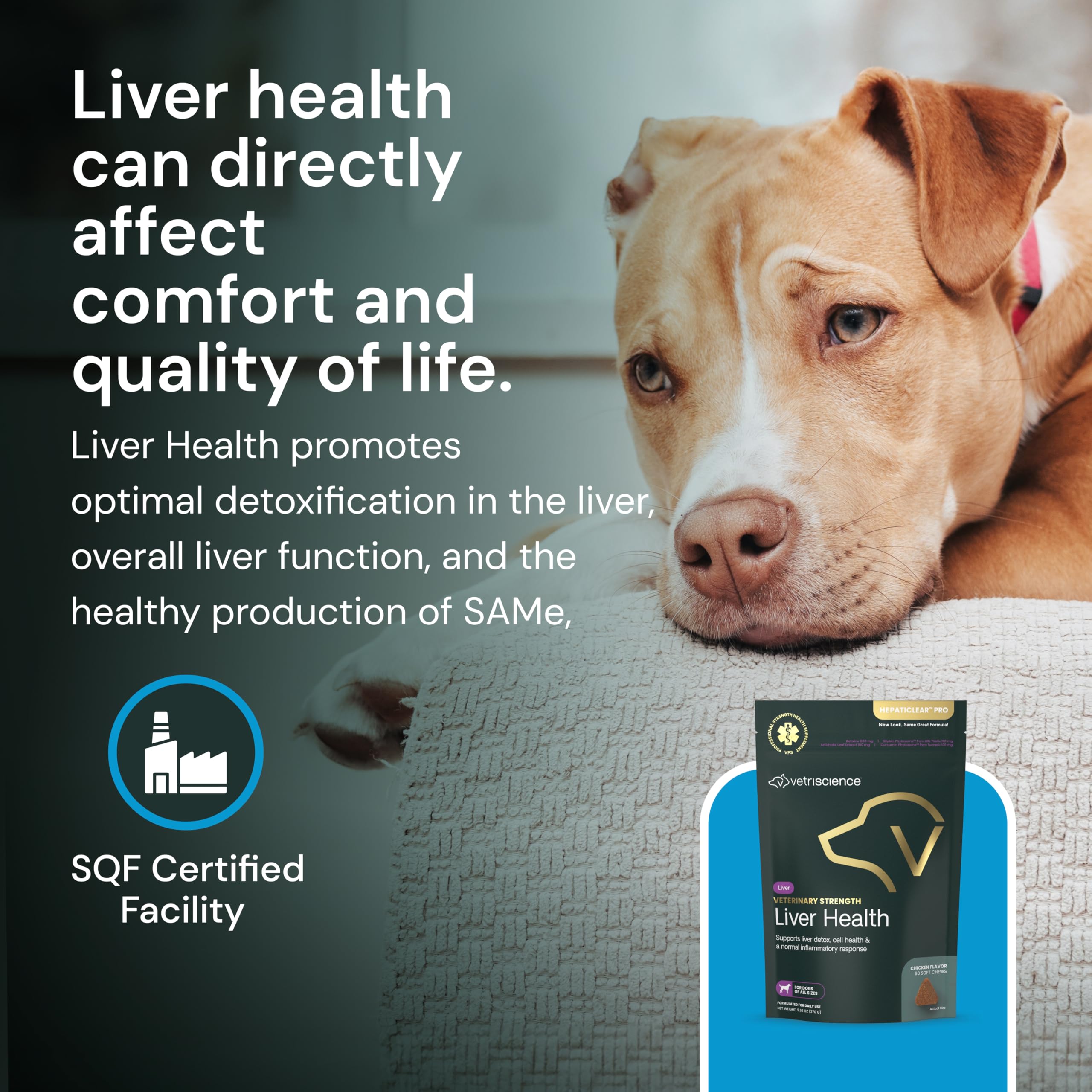 VetriScience Liver Health Chews dosing-chart image points to weight-based daily dosing.