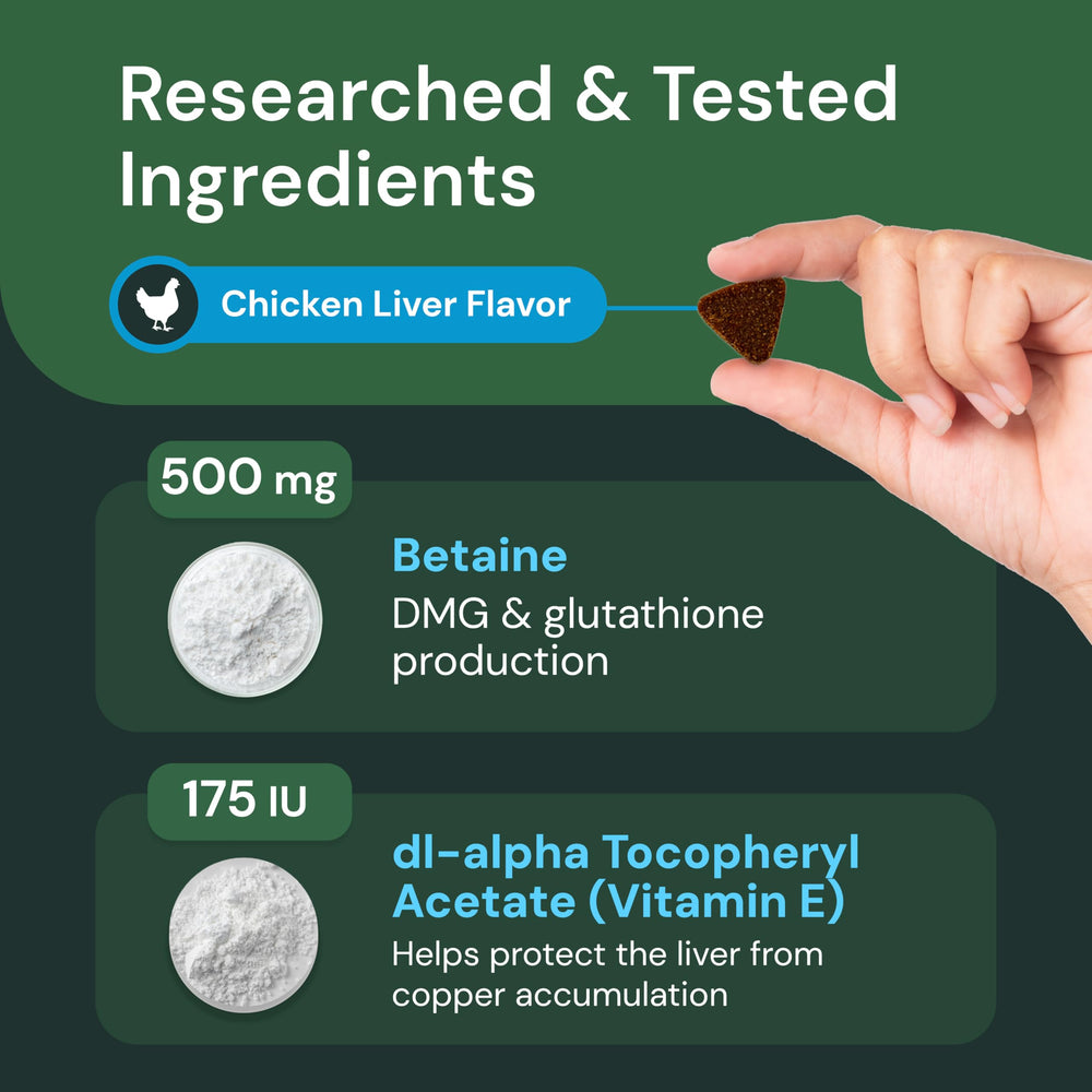VetriScience Liver Health Chews immune-support image hints at balanced immune health.