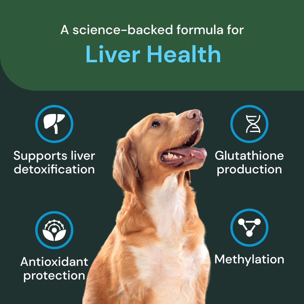 VetriScience Siliphos-milk-thistle image underscores higher bioavailability for liver-supporting ingredients.