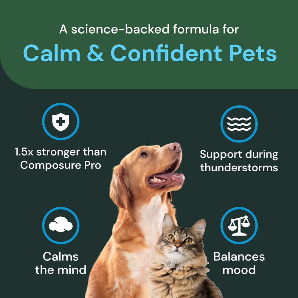 VetriScience Max Calm Chews cat snuggle after calming treat.