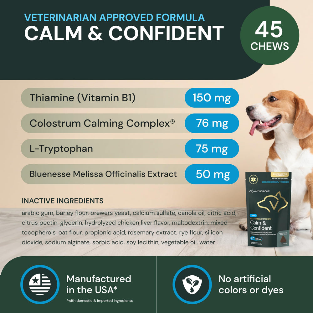 VetriScience Max Calm Chews dog on couch showing relaxed behavior.