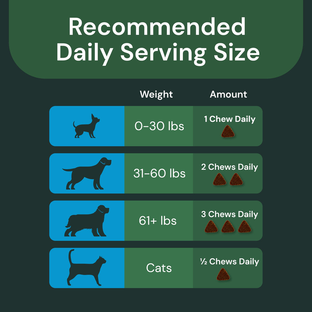 VetriScience Max Calm Chews L-Theanine emphasis for anxiety-free moments.
