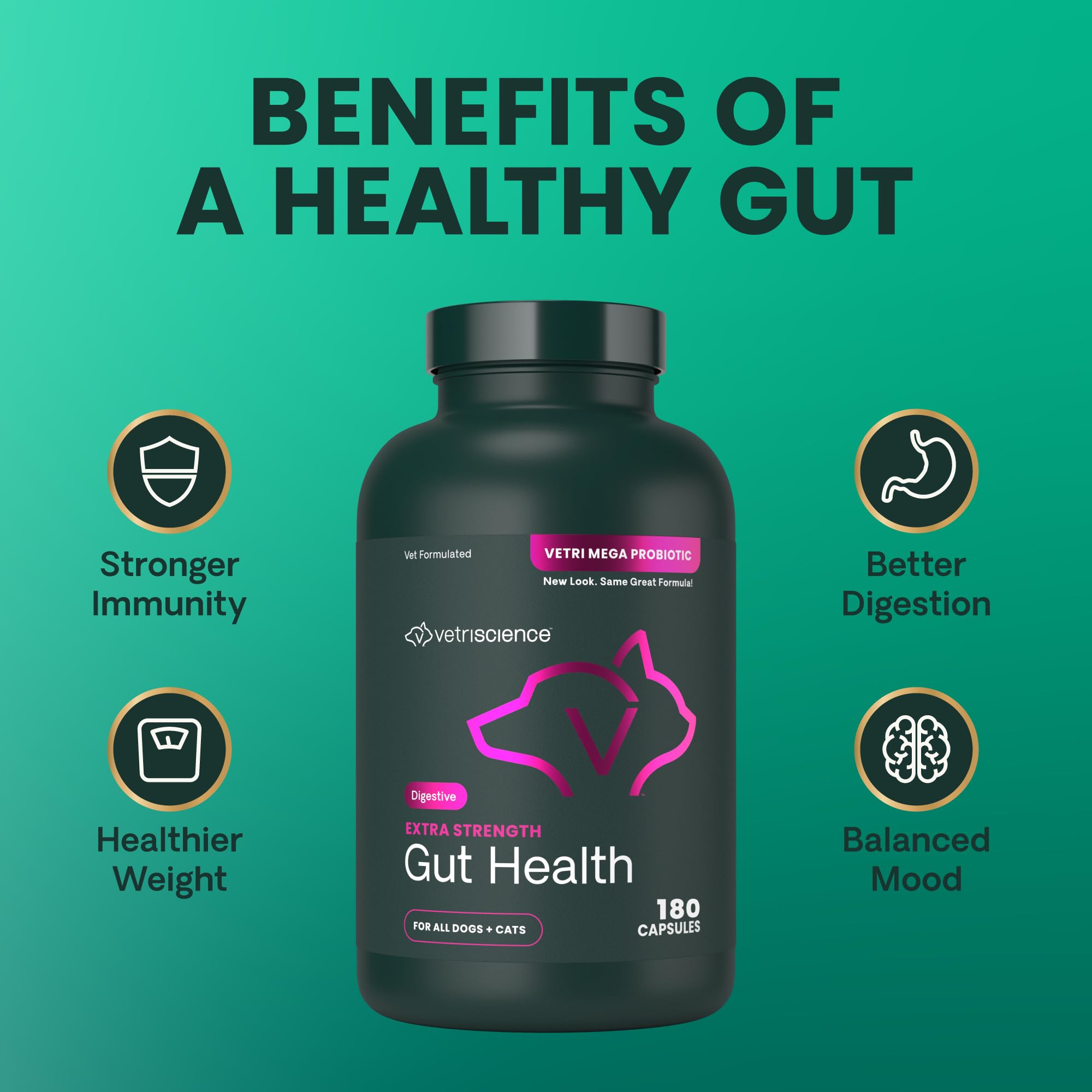 VetriScience multi-strain probiotics visual communicates broad digestive health benefits