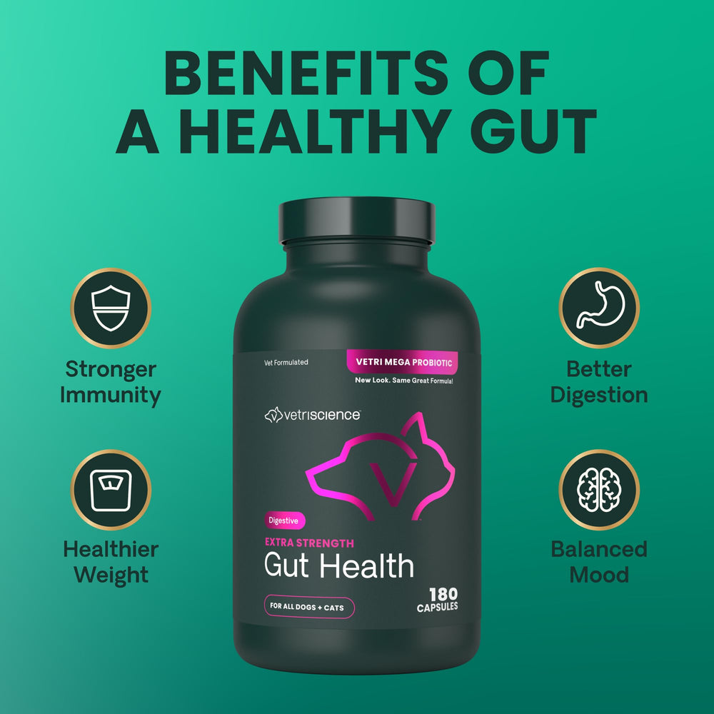VetriScience multi-strain probiotics visual communicates broad digestive health benefits