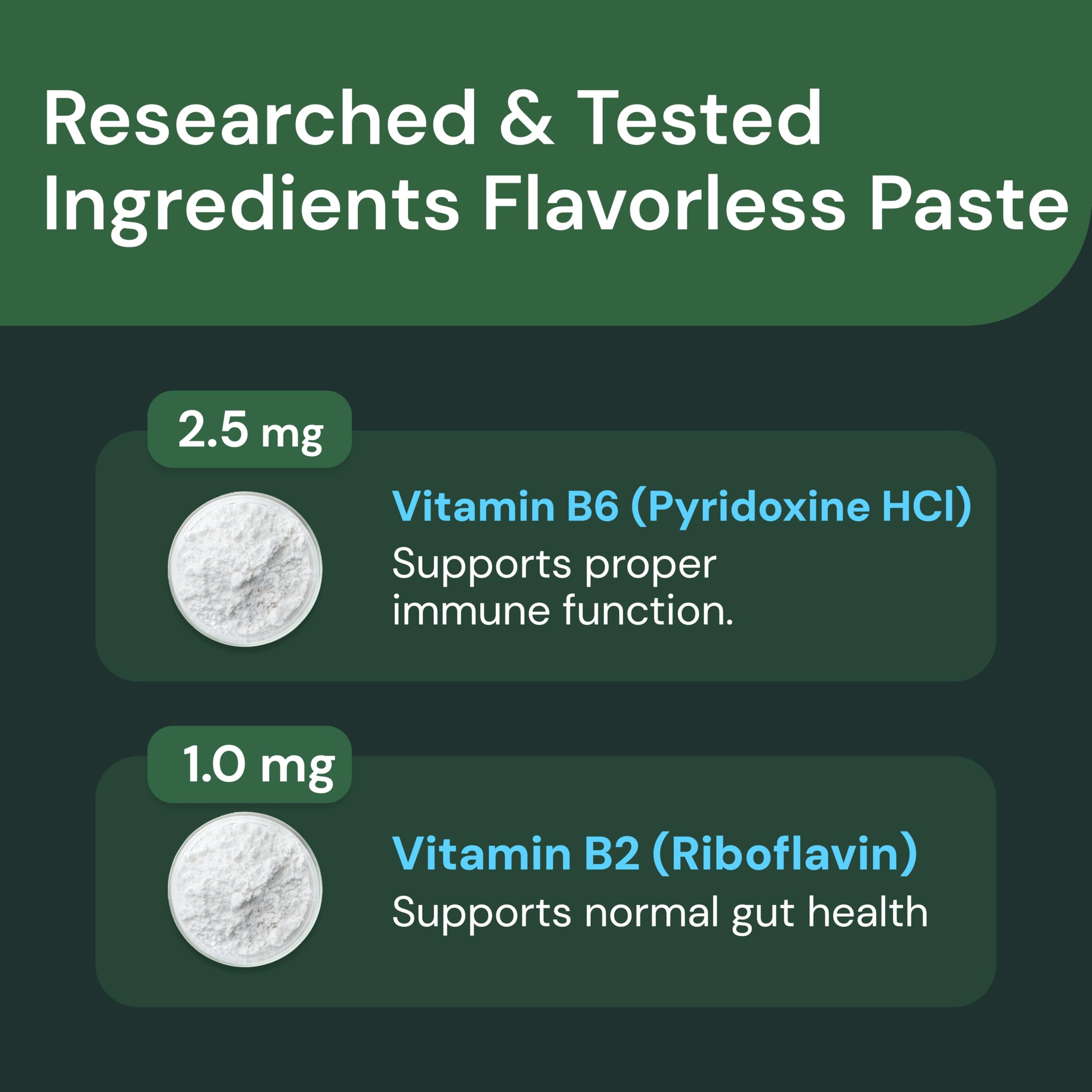 VetriScience probiotic paste for cats supporting digestion