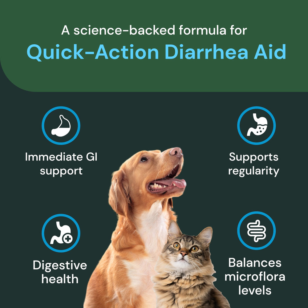 VetriScience probiotic paste for dogs supporting digestion