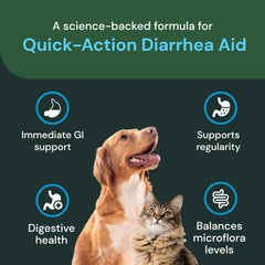 VetriScience probiotic paste for dogs supporting digestion