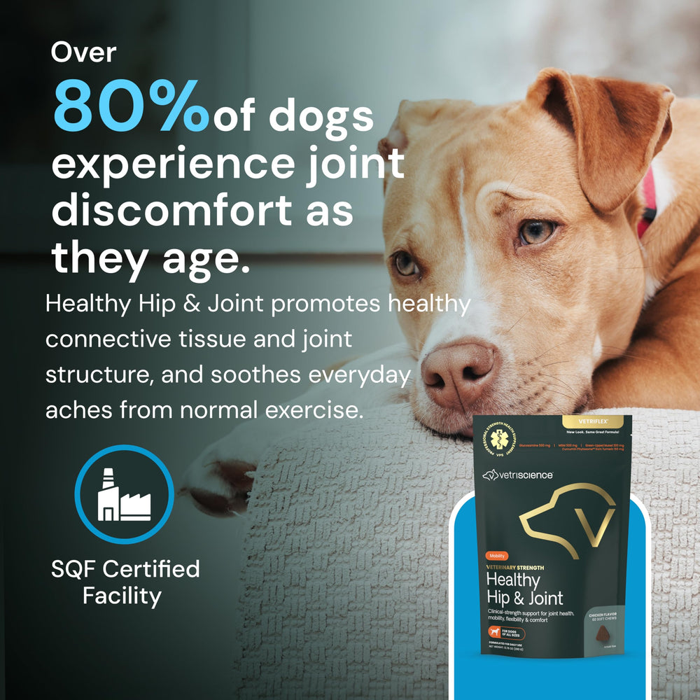 VetriScience running dog with chews implies mobility benefits.