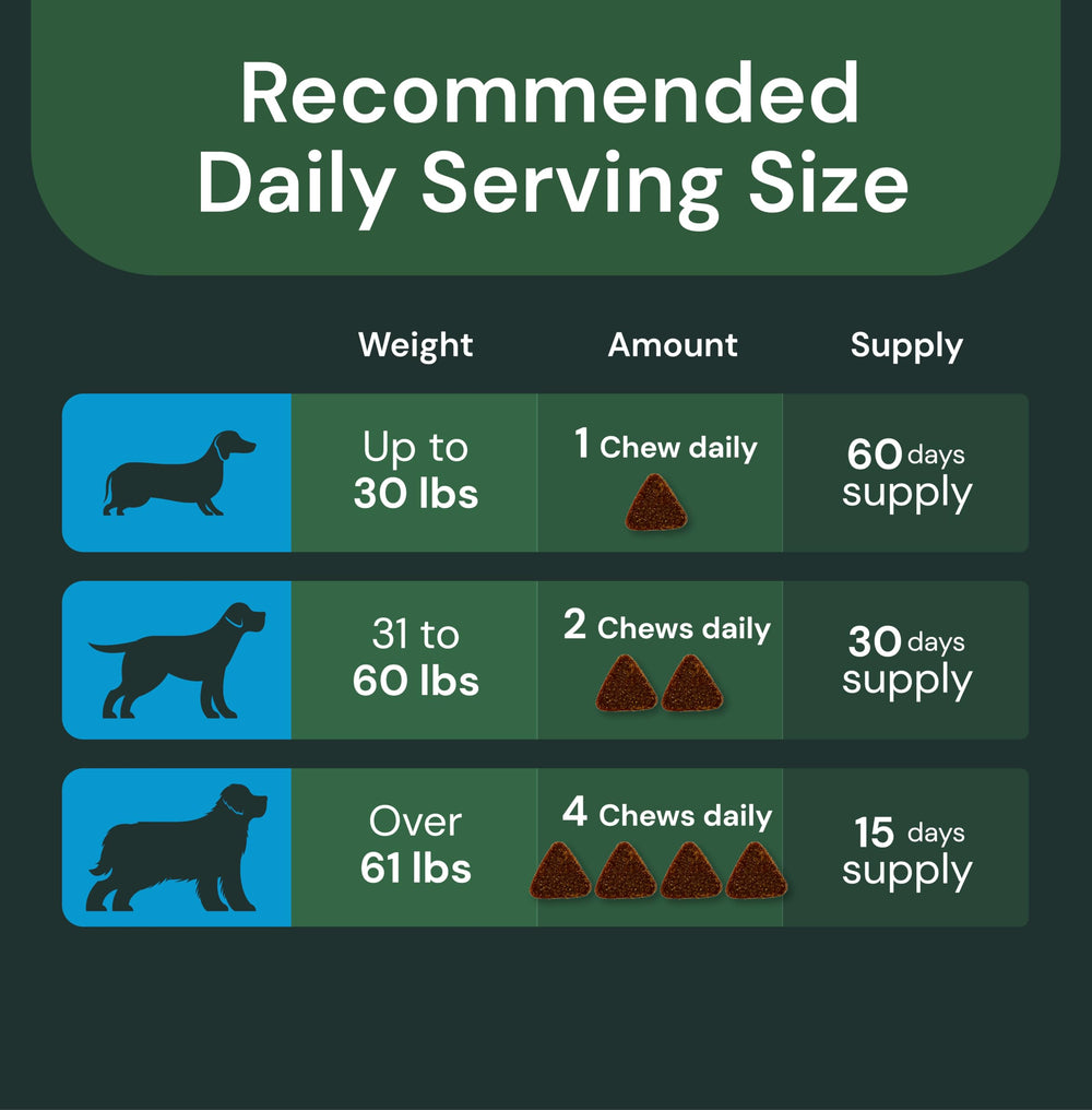 VetriScience UT Health Chews container with dog conveys convenient daily supplementation