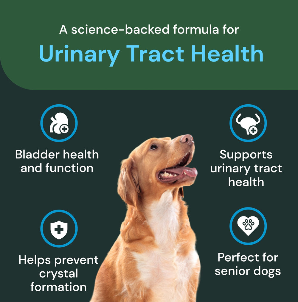 VetriScience UT Health Chews cranberry powder scene demonstrates natural ingredients for pets