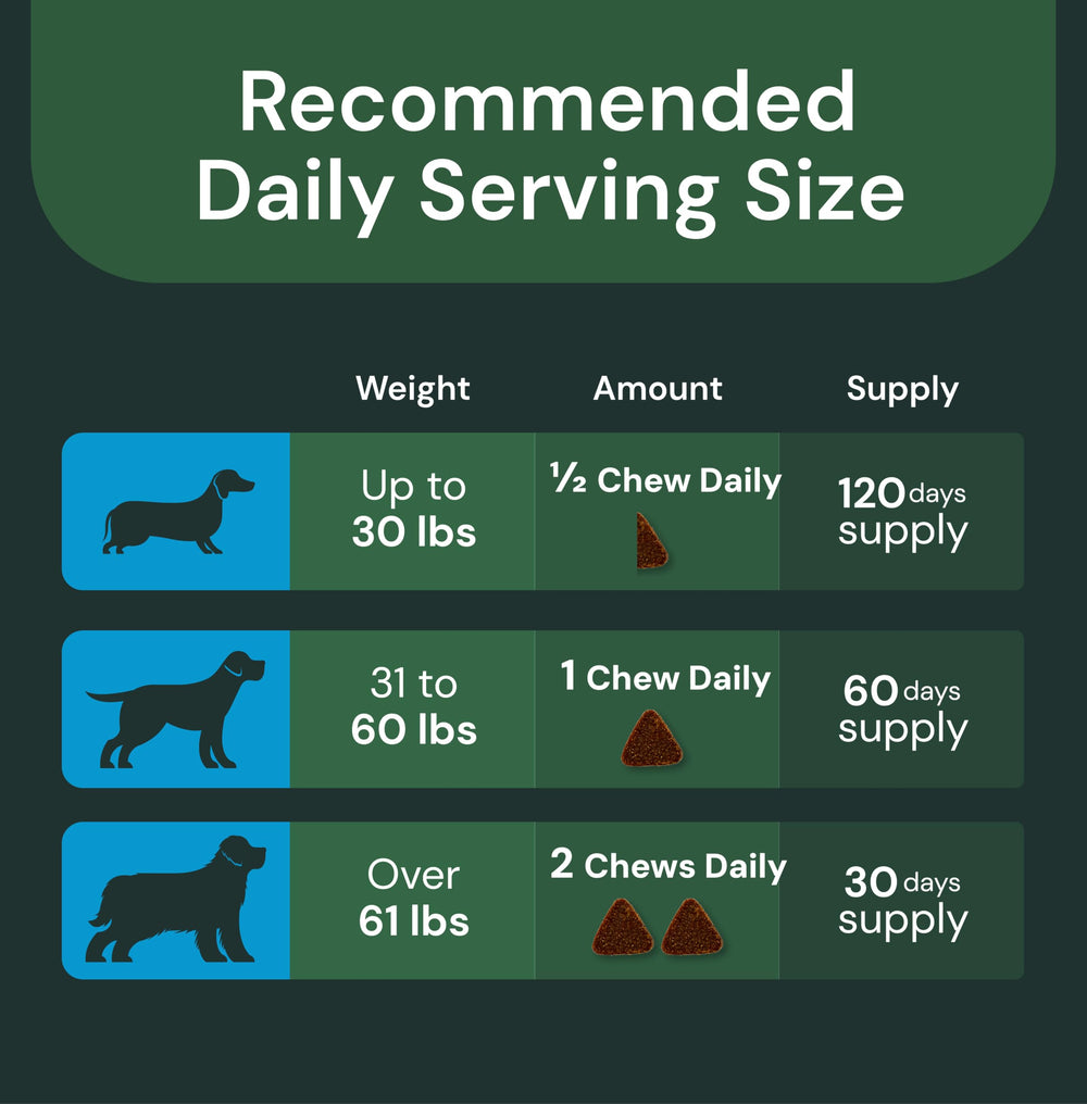 VetriScience digestive health probiotics visual conveying gut-friendly support
