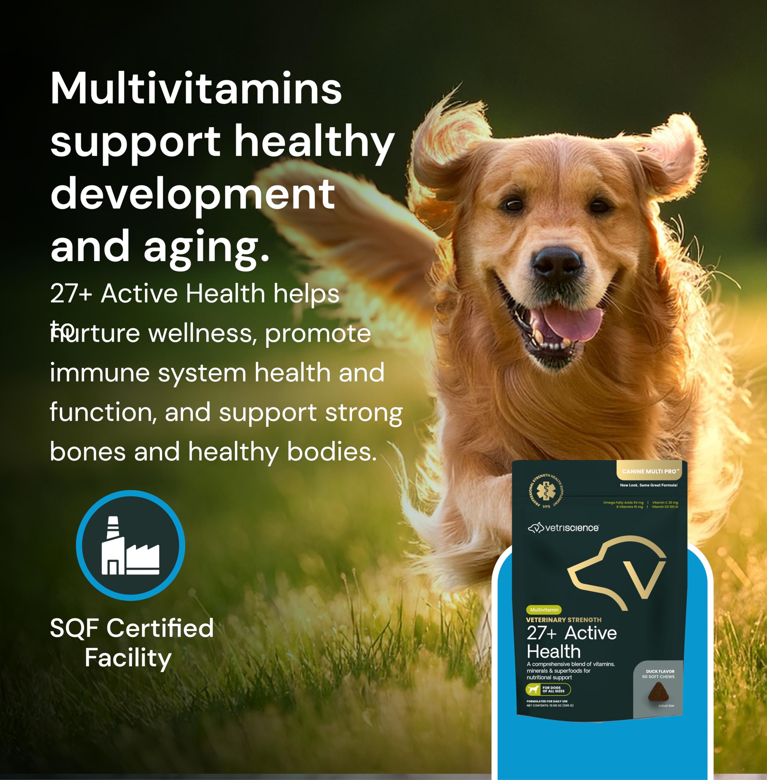 VetriScience immune nutrients close-up suggesting immune health support for dogs