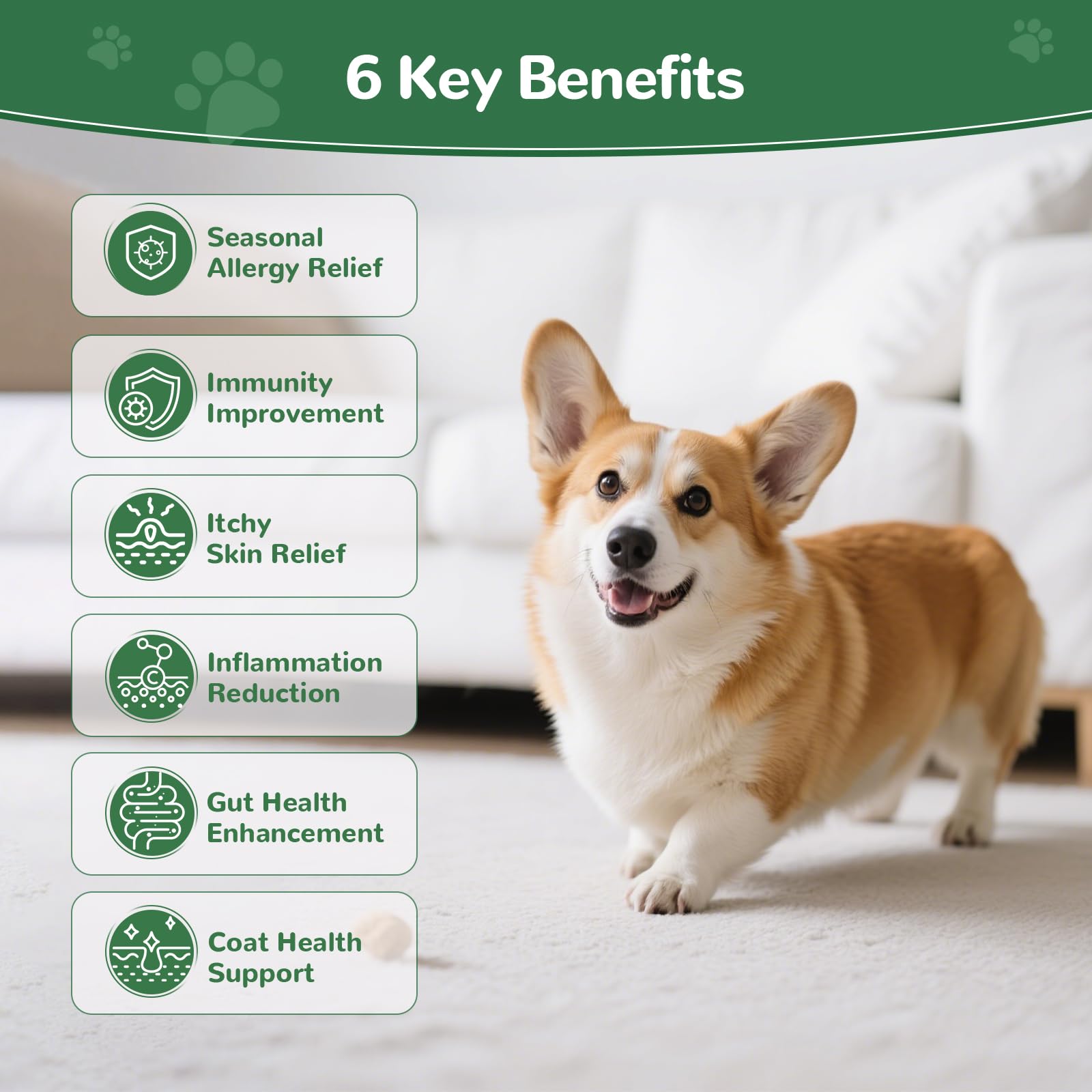 Vetriuntrix Dog Allergy Chews bottle closeup highlights omega-3 and probiotics for skin and immunity.