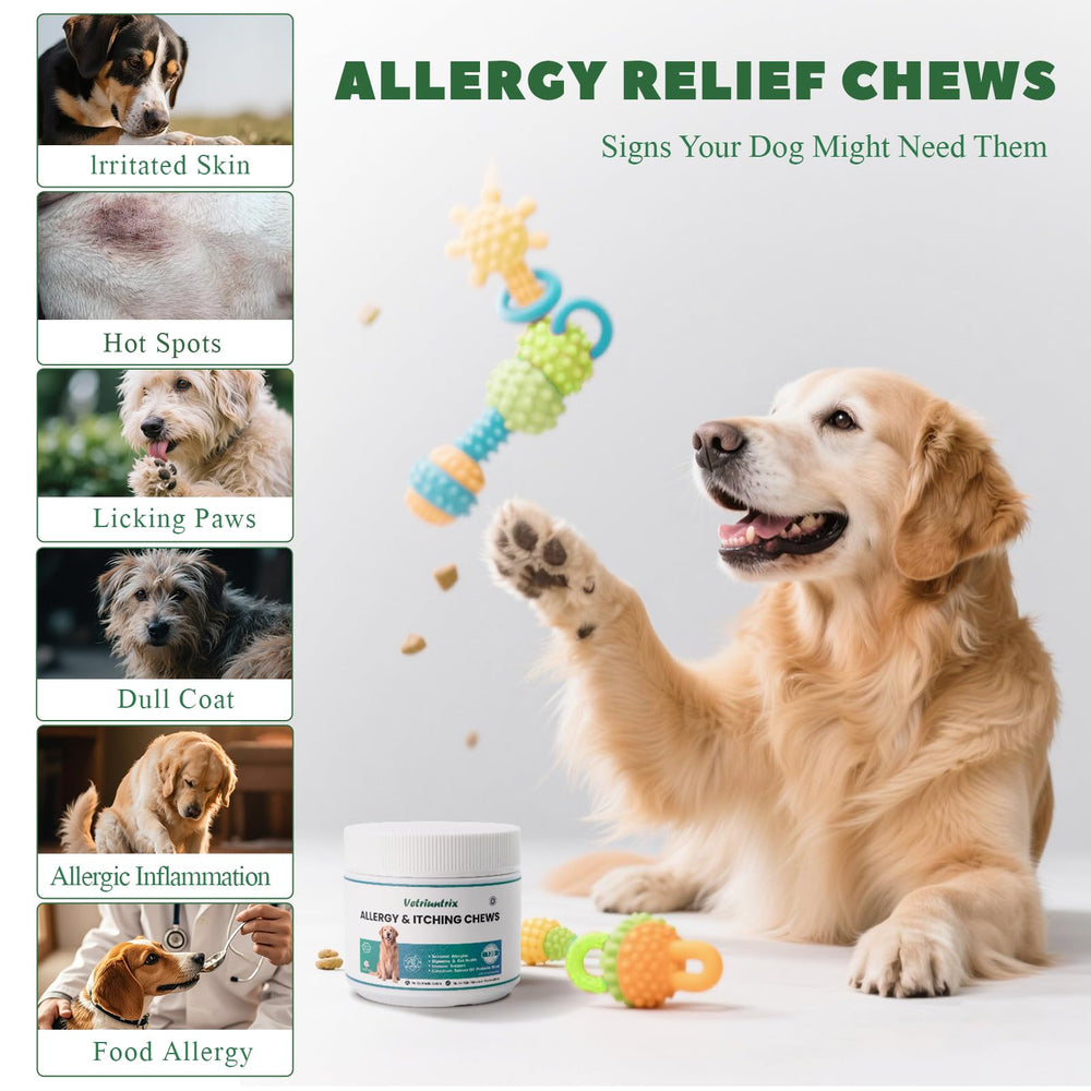 Vetriuntrix dog chews chicken flavor for daily routine