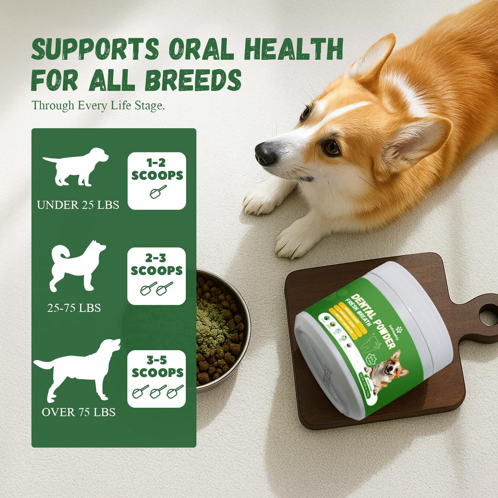 Vetriuntrix dog bowl with powder being added illustrating simple daily use.