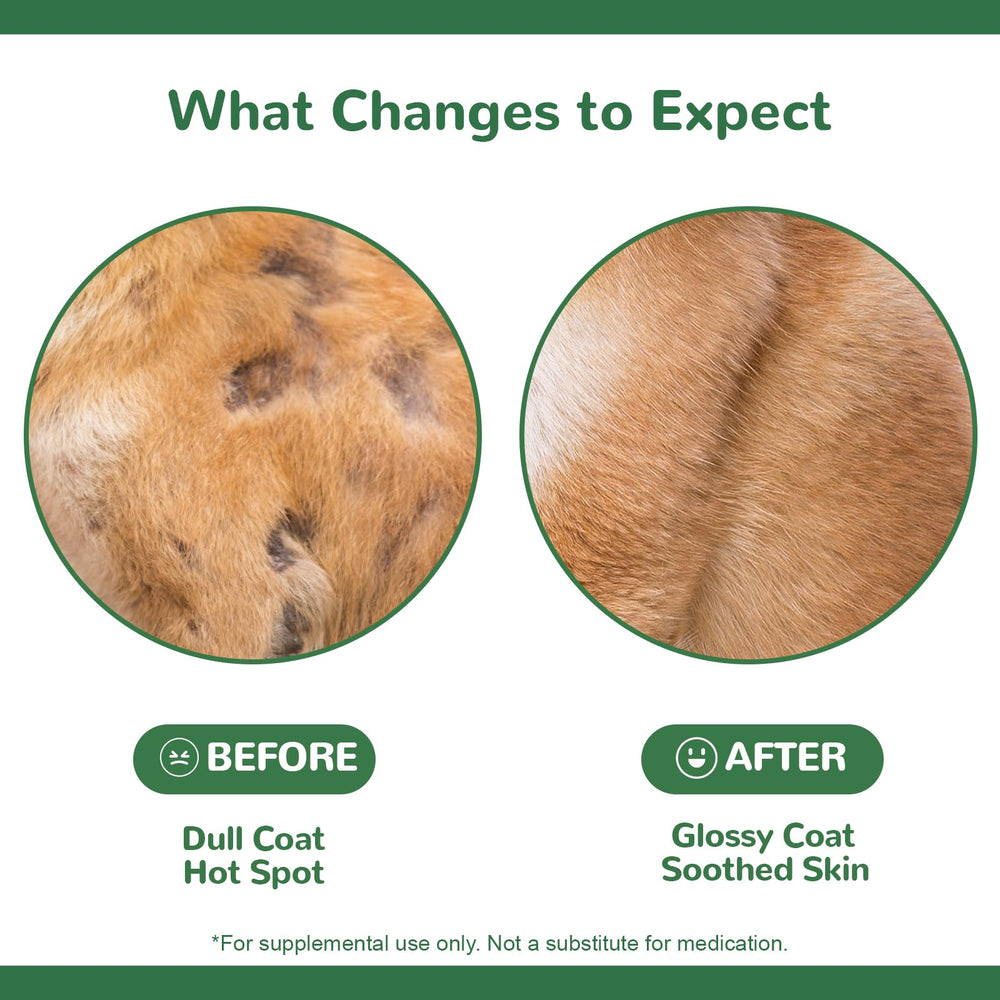 Vetriuntrix Dog Probiotics Omega-3 ingredients highlight gut and coat health.
