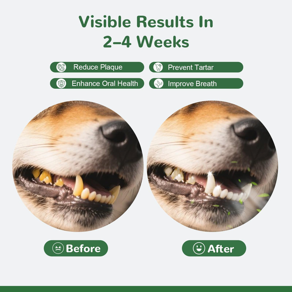 Vetriuntrix powder on dog food showing simple palatable use.
