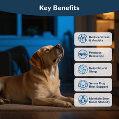 Vetriuntrix Melatonin for Dogs chicken-flavor chews ideal for easy feeding