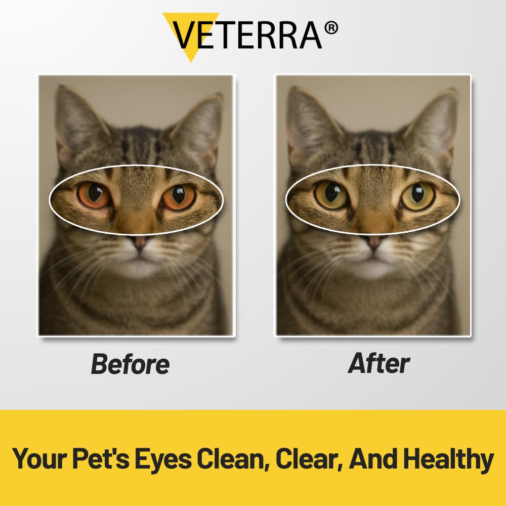 Applying Veterra Pet Eye Drops to a dog's eye for soothing relief.