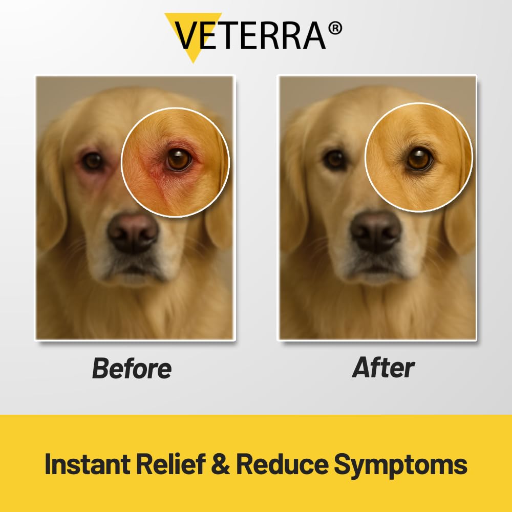 Nozzle of Veterra Pet Eye Drops delivering a precise drop for accurate dosing.