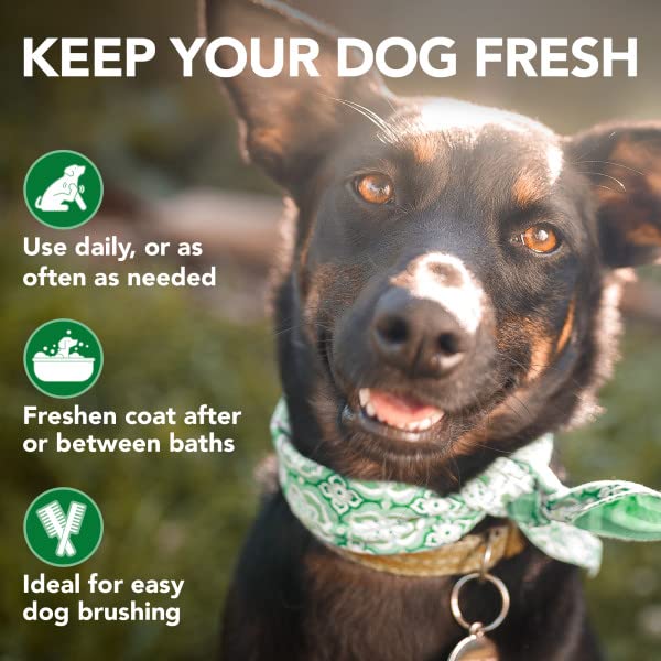 Vet's Best Moisture Mist daily-use spray for between-bath coat care.