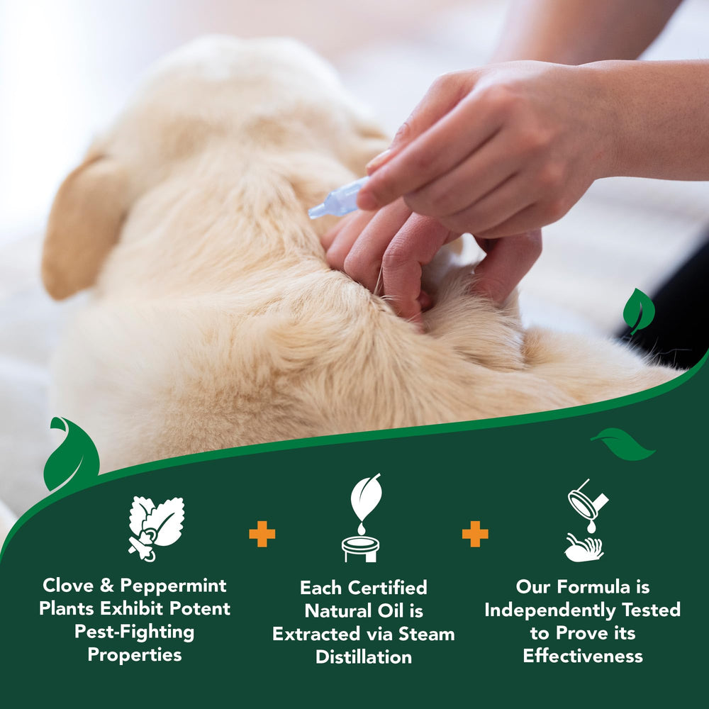 Vets Best bottle-packaging with dropper tip for controlled dosing