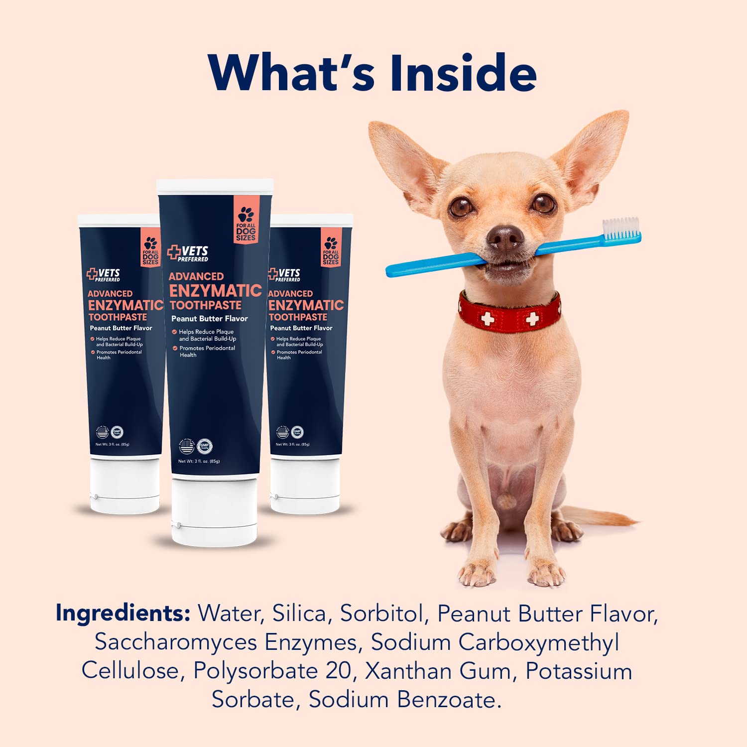 Vets Preferred enzymatic toothpaste dog brushing scene illustrates daily dental routine