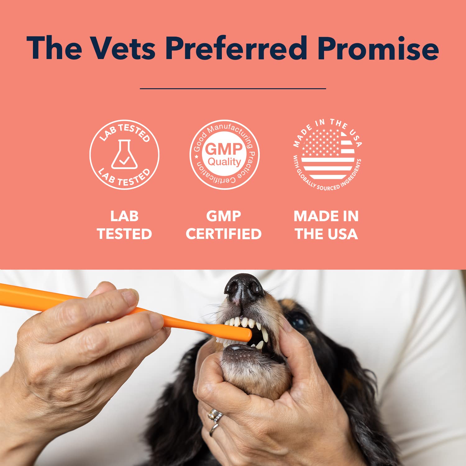 Vets Preferred enzymatic toothpaste made in USA shows GMP-certified production quality