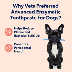 Vets Preferred enzymatic toothpaste with peanut butter flavor appeals to dogs and aids brushing