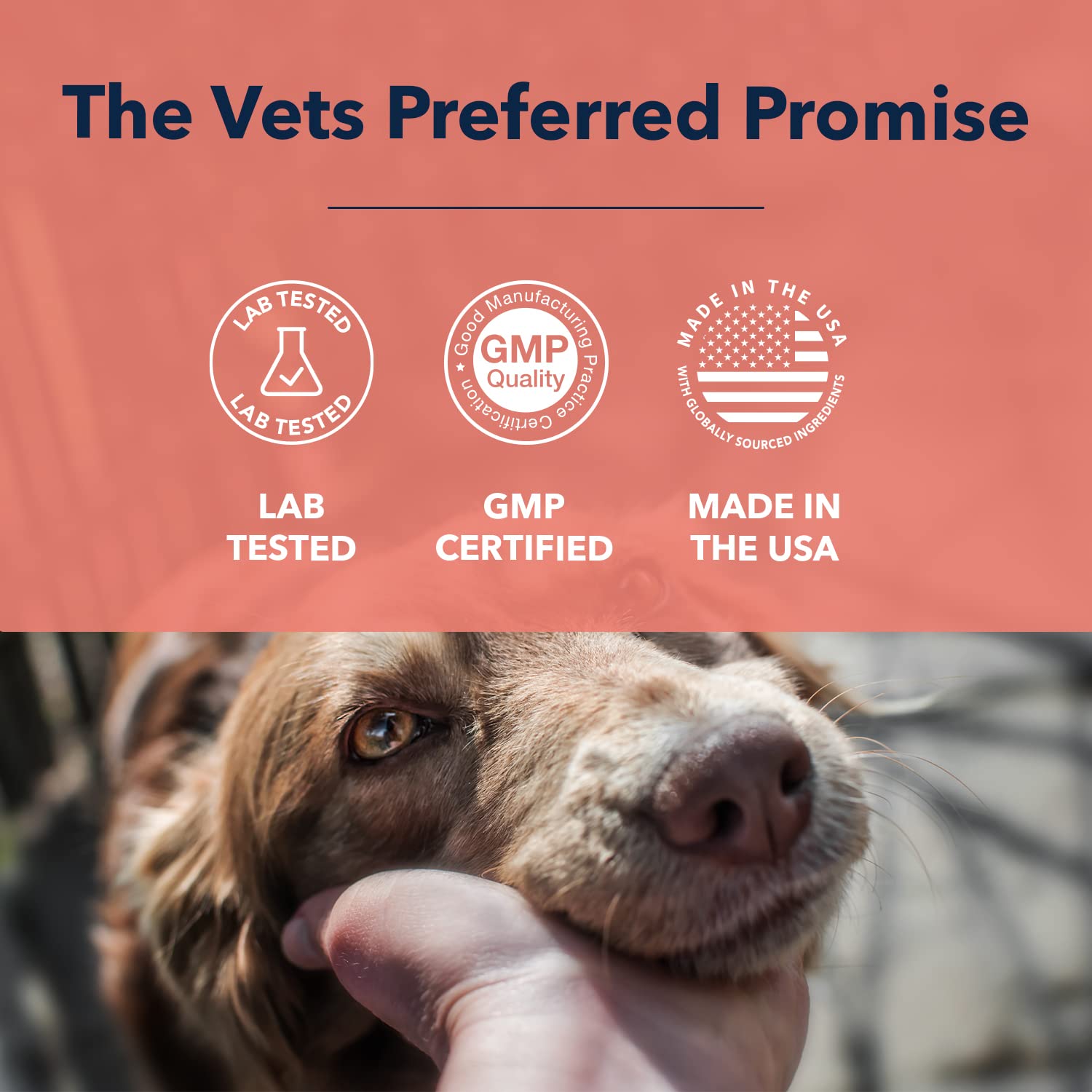 Vets Preferred Eye Cleaner moisturizes dry eyes for comfort.