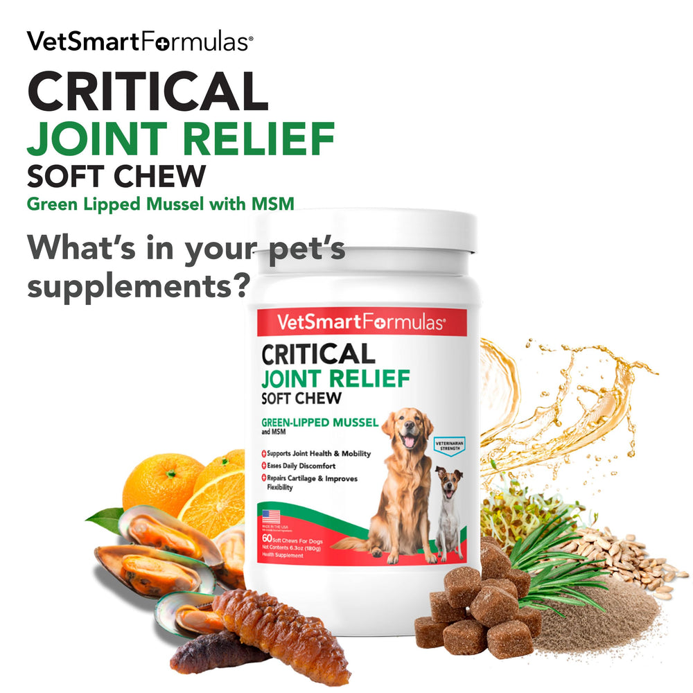VetSmart soft chews shown as a tasty daily treat for mobility