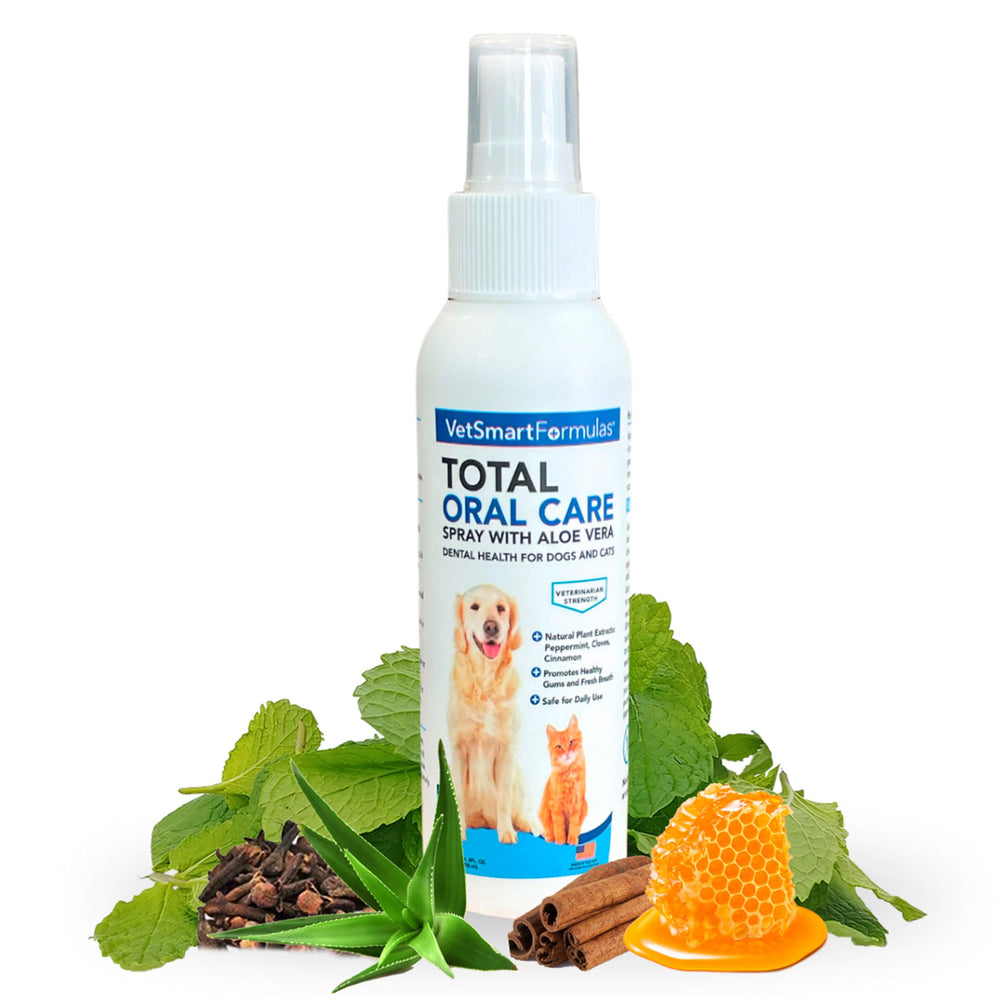 VetSmart Formulas dog breath freshener bottle spray for quick breath refresh.