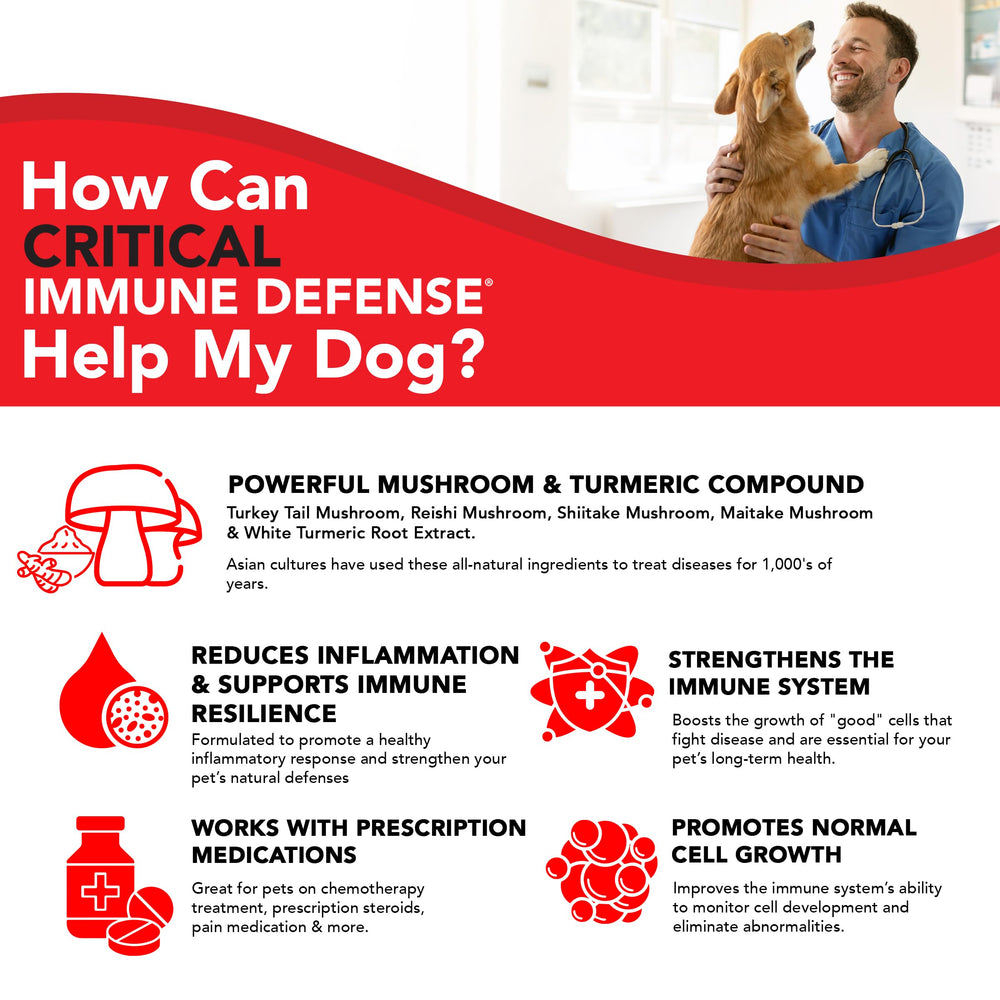 VetSmart Formulas pets-using-product shows dogs and cats benefiting from immune support.
