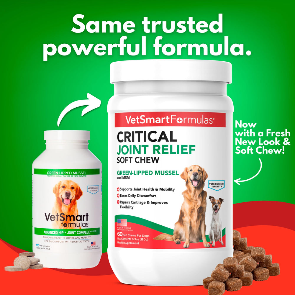 VetSmart sea cucumber and chondroitin ingredients highlight natural cartilage support