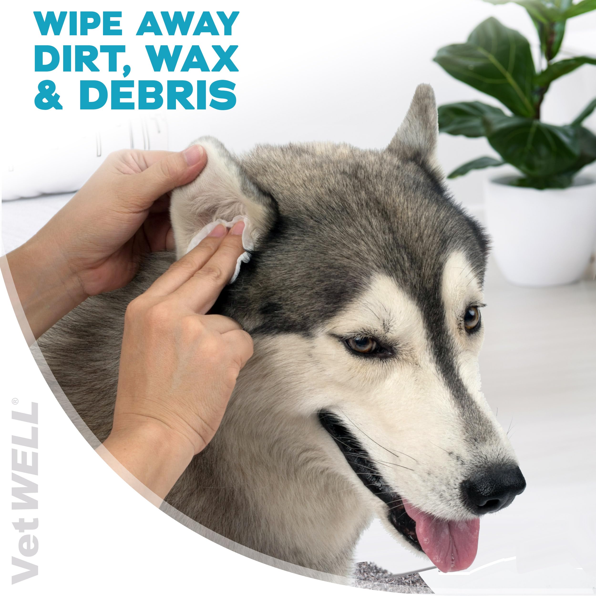 VetWELL EarWELL wipes applied to a dog's outer ear for clean results.