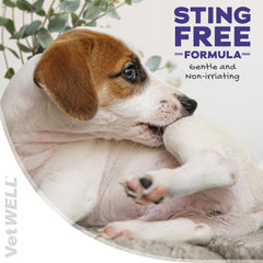 VetWELL Hydrocortisone Spray on cat – gentle itch relief.