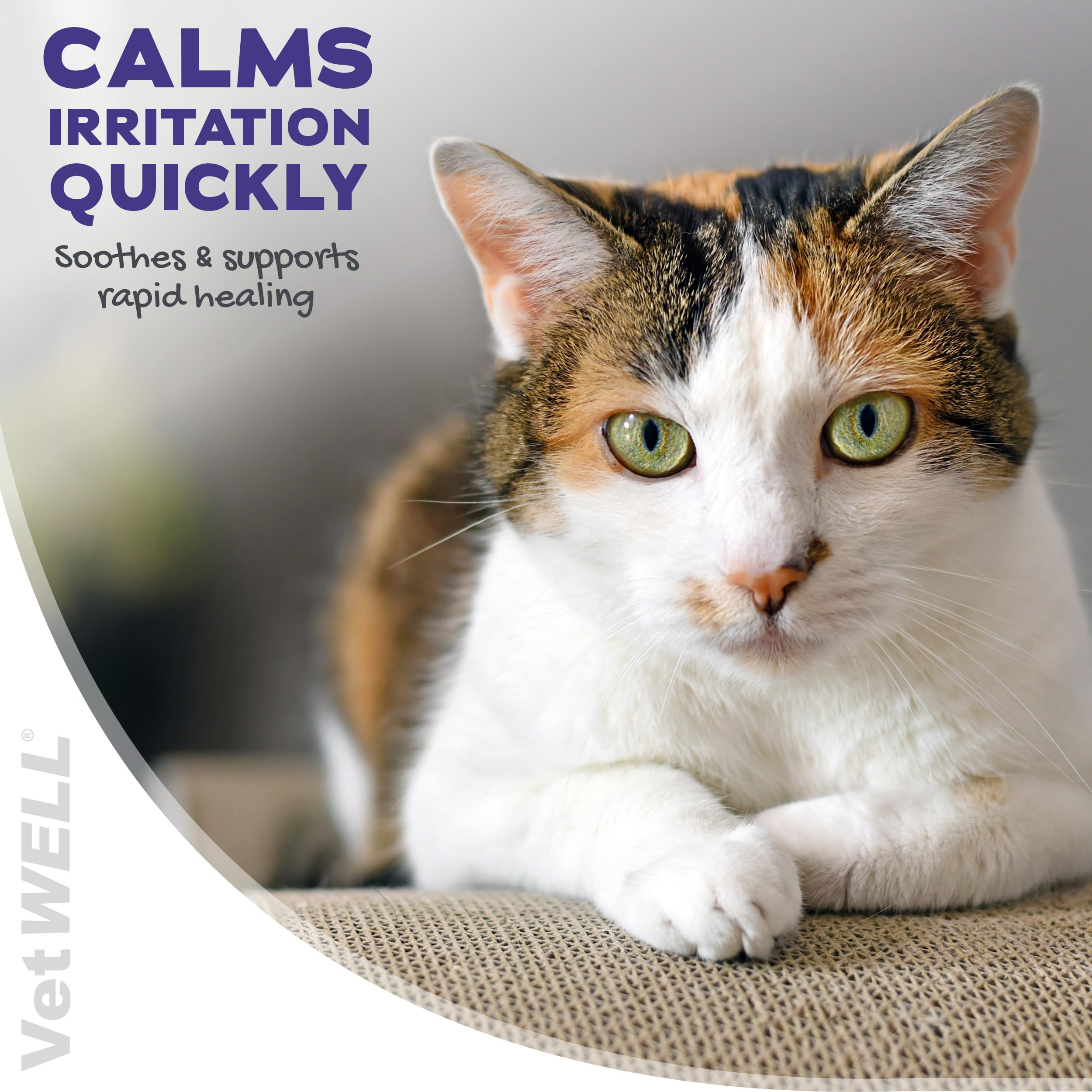 VetWELL ingredients closeup – hydrocortisone and pramoxine benefits.