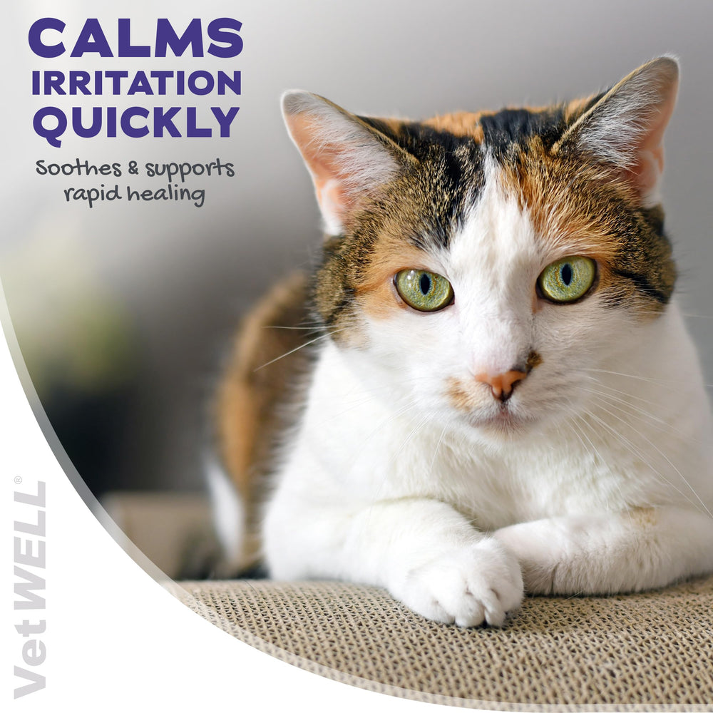 VetWELL ingredients closeup – hydrocortisone and pramoxine benefits.