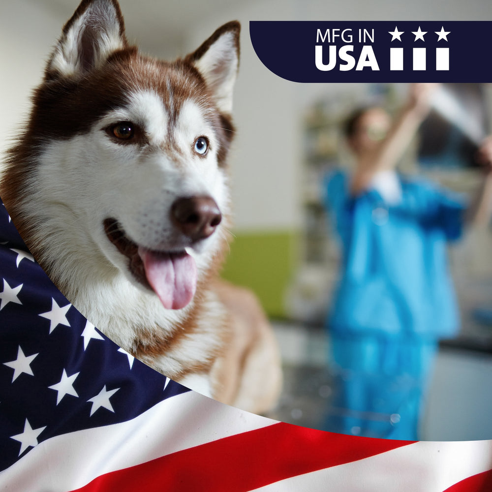 VetWELL KetoWELL topical shampoo closeup ingredients highlights gentle cleansing.