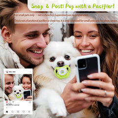 Vexulipro pet pacifiers ventilated shield—improves pet comfort during quick photo moments.