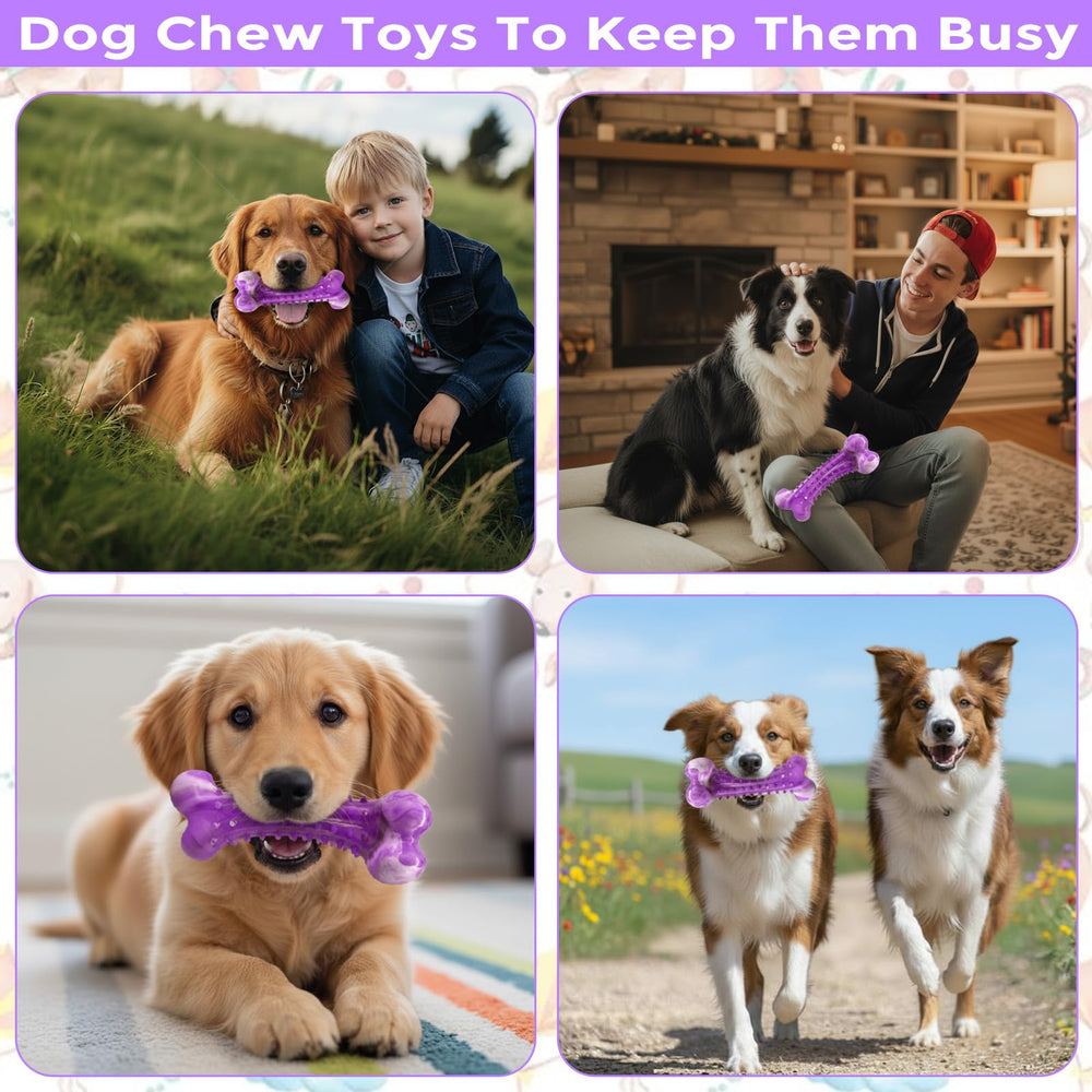 Veyaxiah gift-ready-dog-toy ideal for dog lovers.