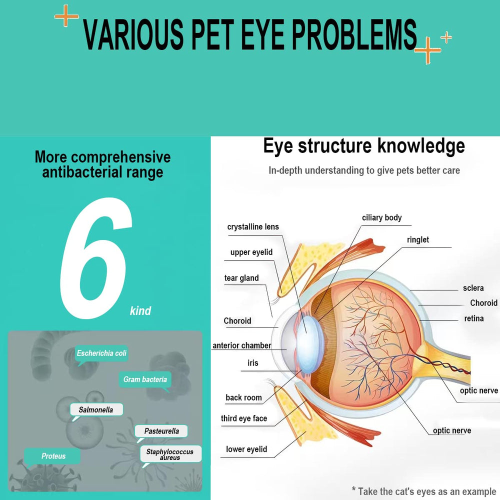 VEZE Eye Drops are suitable for all breeds, offering gentle eye care.