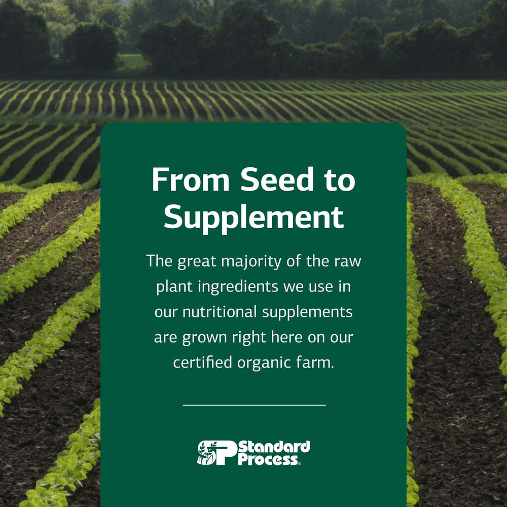 Standard Process VF Omega-3 for Pets product set emphasizing omega-3 benefits for coat and vitality